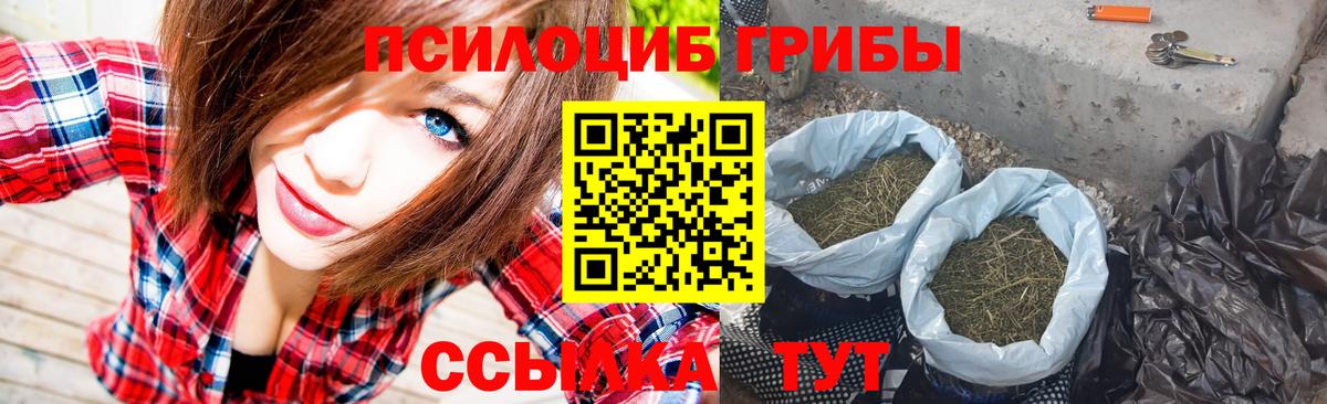 Галлюциногенные грибы Magic Shrooms Курган